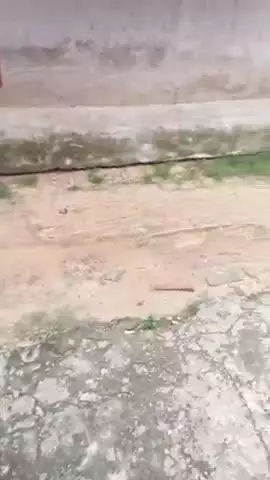 bidhutt ar somoshaa..protiniotoii ghotcha sevayatan elaka jura..