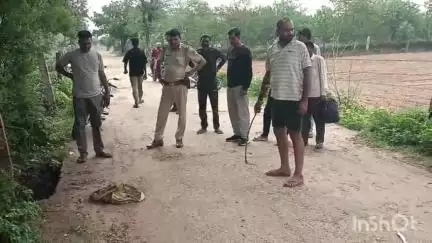 दांतारामगढ़: पलसाना में प्लास्टिक के कट्टे में नवजात भ्रूण की सूचना पर दौड़ी पुलिस, जांच में निकला जानवर का कंकाल