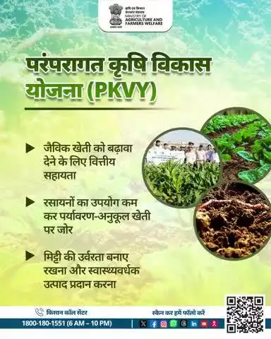 जैविक खेती की ओर कदम! #PKVY से मिले समर्थन से पाएं समृद्ध, सुरक्षित और पर्यावरण-अनुकूल कृषि भविष्य।

#AgriGoI