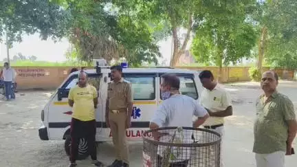 तिलहर: फीलनगर गांव के पास टैंकर ने कार और बाइक सवार 7 लोगों को मारी टक्कर, 3 लोगों की मौत और 4 लोग घायल