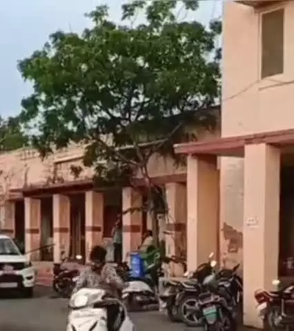 जालौर: जालौर नगर परिषद में फर्जी पट्टा जारी करने के मामले में शाखा प्रभारी को किया निलंबित