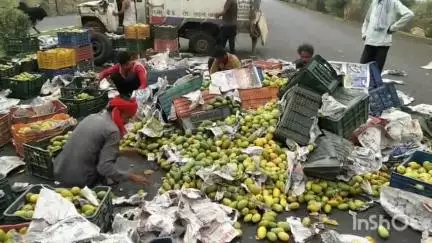 मालथोन: मालथौन हाईवे रोड पर पिकअप वाहन पलटने से बड़ा हादसा टला, चालक को मामूली चोटें