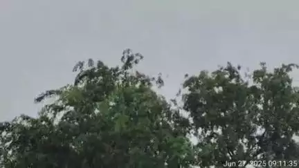 মুরারই ১: বীরভূমের মুরারই এলাকায় শুরু হয়েছে নিম্নচাপের বৃষ্টি