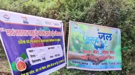 पौड़ी: डोभ श्रीकोट व मल्ली गांव में 300 बेड़ू के पौधों का रोपण किया गया, सीडीओ ने कहा- पौध रोपण करना ही हमारा लक्ष्य नहीं