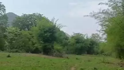 କଣ୍ଟାବାଞ୍ଜି: ବରିହାମୁଣ୍ଡା ଗାଁରେ ପବ୍ଲିକ ଆପ ରେ ଖବର ପ୍ରସାରଣ ପରେ ହେଲା ବିଦ୍ୟୁତ ସଂଯୋଗ