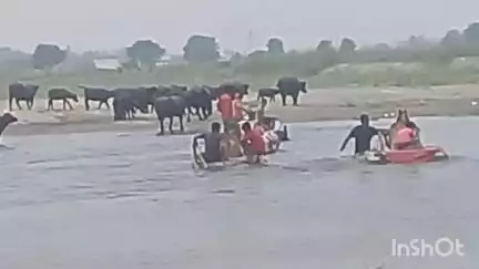 बागपत: जान को जोखिम में डालकर फल व्यापारी ने यमना नदी पार की, हैरान कर देने वाला मामला