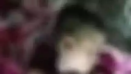 पिंडवाड़ा: पाबा गांव के राणोरा में आकाशीय बिजली गिरने से बच्चे की हुई मौत, बरसात से बचने के लिए पेड़ के नीचे छुपा था बच्चा