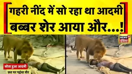 Gujarat Lion Video: Amreli में छत पर पहुँचा शेर, जान बचाकर भागा आदमी | Viral Video | Hindi News