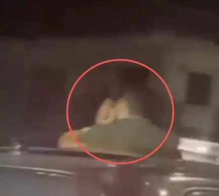 হিমাচলপ্রদেশে গাড়ির সানরুফ খুলে অশ্লীল কাজ যুগলের, ভাইরাল ভিডিয়ো