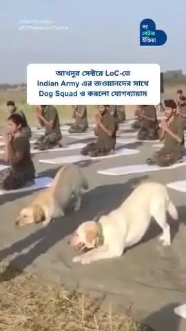 Dog Squad এর যোগাভ্যাস | International Yoga Day | Indian Army
