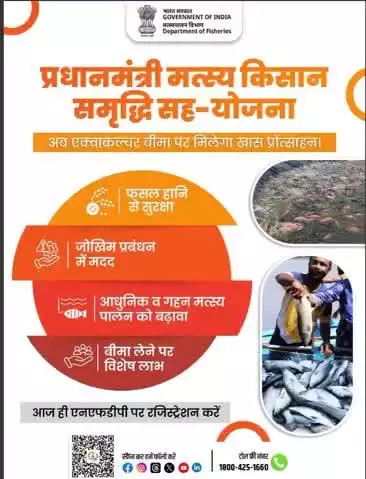 प्रधानमंत्री मत्स्य किसान समृद्धि सह-योजना के साथ अब एक्वाकल्चर बीमा पर मिलेगा खास प्रोत्साहन! फसल हानि से सुरक्षा, जोखिम प्रबंधन में मदद, आधुनिक मत्स्य पालन को बढ़ावा और बीमा लेने पर विशेष लाभ।
आज ही NFDP पर रजिस्ट्रेशन करें!