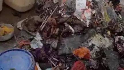 नाथनगर: बैरिया गांव में शॉर्ट सर्किट से लगी आग, अनाज और नकदी जलकर राख
