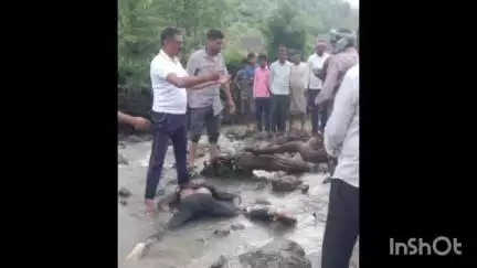 सरदारपुर: रिंगनोद: गौमुख नाले में बहे युवक का शव चौहानपुरिया के जंगल में मिला
