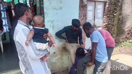 मल्हारगढ़: पिपलियामंडी में कुत्तों का बकरियों पर हमला, 3 की मौत