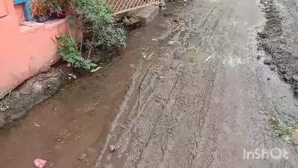 भैंसदेही: ग्राम पंचायत धामनगांव में गंदगी, स्टेट लाइन बंद, आवारा कुत्तों और चोरियों से ग्रामीण भयभीत