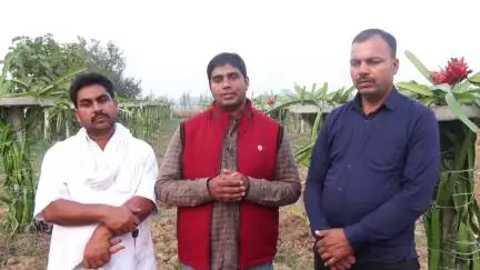 ड्रैगन फ्रुट की खेती ।। @bameti.bihar