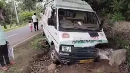 जयसिंहनगर: झारा के पास भालू को बचाने में अनियंत्रित होकर सड़क से उतरी एम्बुलेंस, टला बड़ा हादसा