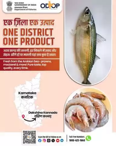 One District One Product: Dakshina Kannada, Karnataka
Straight from the Arabian Sea fresh prawns, mackerel & more.
Pure taste, rich nutrition, unmatched quality.