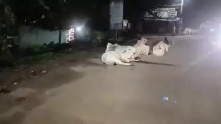 కాకినాడ జిల్లాలో రోడ్డు ప్రమాదాలకు కారణాలు ఇవే
