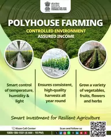Grow in any season with #Polyhouse! Smart farming for healthy crops, less risk & maximum profit.

#PolyhouseFarming