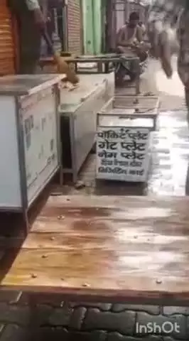 हाथरस: सदर के पसरट्टा बाजार में घरेलू विवाद के चलते छोटे भाई ने बड़े भाई को सड़क पर सरेआम मारा थप्पड़, वीडियो हुआ वायरल