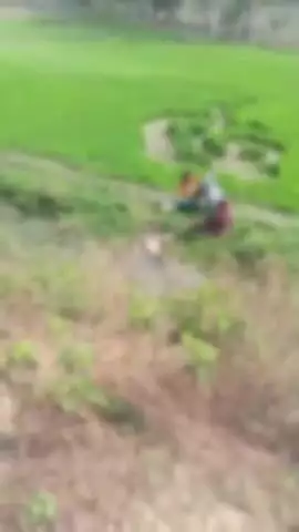 हसनगंज: उन्नाव के हसनगंज कोतवाली क्षेत्र के हाजीपुर तरेहा गांव में संदिग्ध परिस्थितियों में नाले में मिला किसान का शव