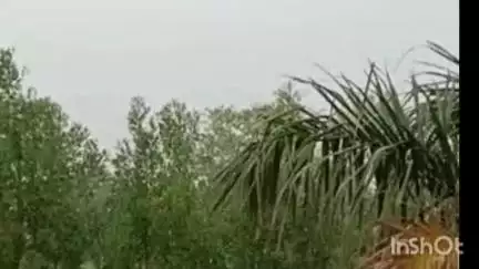 सीहोर नगर: सीहोर: SP ने जारी की मानसून सुरक्षा गाइडलाइन, बारिश में बिजली के खंभों व पेड़ों से दूर रहें