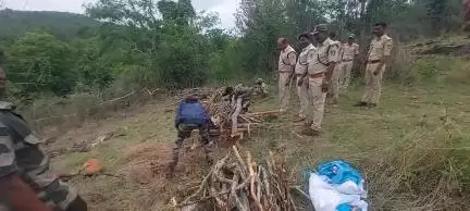 ಹನೂರು: ಮಿಣ್ಯಂನಲ್ಲಿ ಐದು ಹುಲಿ  ಮೃತ್ಯು: ಶಾಸಕ ಮಂಜುನಾಥ್ ಪ್ರತಿಕ್ರಿಯೆ
