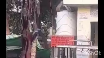 कायमगंज: पुलग़ालिब पुलिया के पास वाटर कूलर की टंकी का ढक्कन खोलकर बंदर का नहाते हुए वीडियो वायरल, लोग दूषित पानी पीने को मजबूर