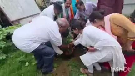 बड़हरा: बड़हरा प्राथमिक स्वास्थ्य केंद्र परिसर में प्रभारी की मौजूदगी में फलदार वृक्ष लगाया गया