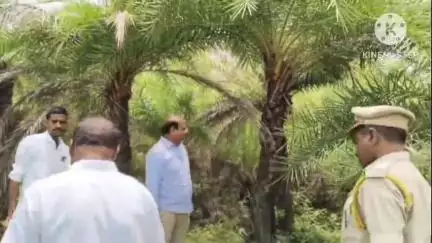 వర్ని: వన మహోత్సవంలో 80 వేల చెట్లు నాటడానికి ప్రణాళిక సిద్ధం: రాంపూర్‌లో జిల్లా ఎక్సైజ్ సూపరింటిండెంట్‌ మల్లారెడ్డి