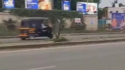 हवेली: पुणे- सोलापूर महामार्गावर लोणी स्टेशन चौकात मोकाट जनावरांचा वावर; वाहनांची वर्दळ असल्याने अपघाताचा मोठा धोका