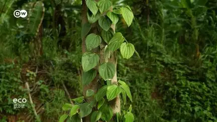 तमिलनाडु में इंटीग्रेटेड फार्मिंग से खुशहाल किसान