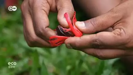 किसान साथ आए तो खेती में हुआ फायदा