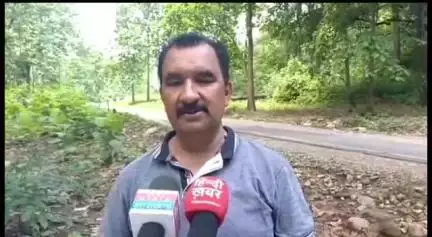 रामनगर: कोसी रेंज के सुंदरखाल क्षेत्र में पहाड़ी से गिरकर नदी में जा गिरे एक हिरन की हुई मौत, रेंजर शेखर तिवारी ने दी जानकारी
