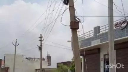 बारां: शहर के नारेडा रोड पर बरडिया बालाजी धाम के पास बिजली का तार टूटकर गिरने से एक गोवंश की हुई मौत