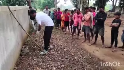 लखनपुर: आश्रित ग्राम पंडरीपानी शा.प्रा.शा. परिसर में निकला अजगर, बीजेपी मंडल महामंत्री ने किया रेस्क्यू और जंगल में छोड़ा