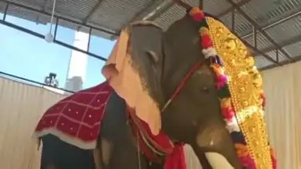 அருப்புக்கோட்டை: தமிழகத்தில் முதல்முறையாக அருப்புக்கோட்டையில் உள்ள கோவிலுக்கு இயந்திர யானை வழங்கப்பட்டது