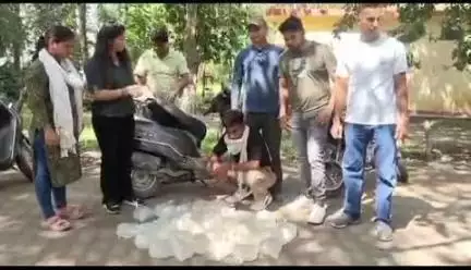 ऋषिकेश: आबकारी टीम ने ऋषिकेश के मनसा देवी इलाके में स्कूटी से ले जा रही शराब बरामद की, एक व्यक्ति गिरफ्तार