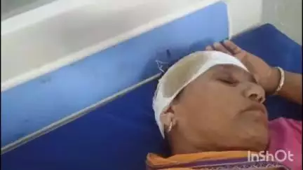 अररिया: भगवानपुर गांव में आपसी विवाद के चलते हुई मारपीट में एक महिला घायल, इलाज जारी