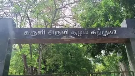 உத்தமபாளையம்: சுருளி அருவியில் வெள்ளப்பெருக்கு 2வது நாளாக சுற்றுலாப் பயணிகள் குளிக்க வனத்துறை தடை விதிப்பு