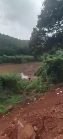 रत्नागिरी: मुंबई- गोवा महामार्गावर तळेकांटें येथे भर दिवसा गवा रेड्याचा रोड शो वाहन चालकांमध्ये घबराट