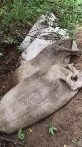 किरनापुर: ग्राम सुरवाही में आबकारी विभाग की छापेमारी, ₹60 हजार का लाहन और अन्य सामान जब्त