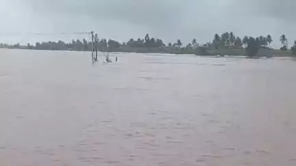 हातकणंगले: पंचगंगा नदीच्या पाणीपातळीत घट,इचलकरंजी शहराला जोडणारा कुरुंदवाड शिरढोण पूल वाहतुकीसाठी खुला