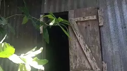 রাজগঞ্জ: রান্নাঘরের জানালা ভেঙ্গে শুড় ঢুকিয়ে চাল আটা খেয়ে নিল হাতি,এঘটনায় চালসার স্কুল পাড়ায় আতঙ্ক ছড়িয়ে পড়েছে