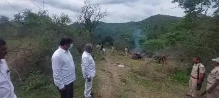 ಹನೂರು: ಮಿಣ್ಯಂ ಸಮೀಪ ಹುಲಿಗಳ ಮೃತ ದೇಹಕ್ಕೆ;
 ಸಚಿವ ಈಶ್ವರ್ ಖಂಡ್ರೆ ಸಮ್ಮುಖದಲ್ಲಿ ಅಗ್ನಿ ಸ್ಪರ್ಶ