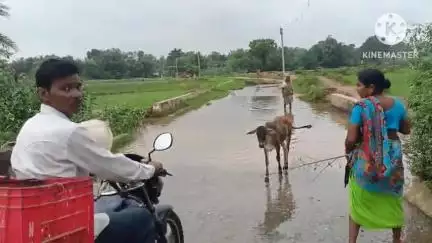 পুরুলিয়া ২: কুস্টুকা গ্রামে ঢোকার রাস্তায় জমেছে এক হাঁটু জল, ব্যাপক সমস্যা সকলের#jansamasya