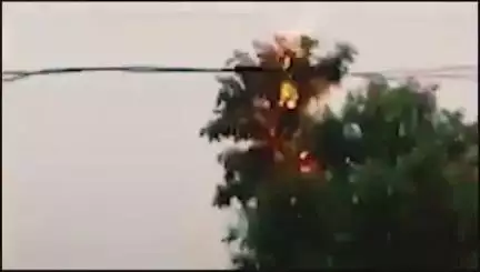 તાલોદ: લીમડાના ઝાડ પર આકાશી વીજળી પડી