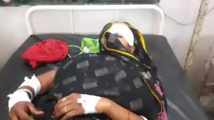 भिंड: भौनपुरा के पास बाइक से मवेशी टकराने से दो लोग घायल