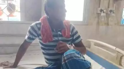 ক্যানিং ১: বারুইপুরে পেয়ারা বাগানে কাজ করতে গিয়ে চরম বিপদের মুখে পড়লেন এক চাষী, ক্যানিং মহকুমা হাসপাতালে এসে প্রাণে বাঁচলেন